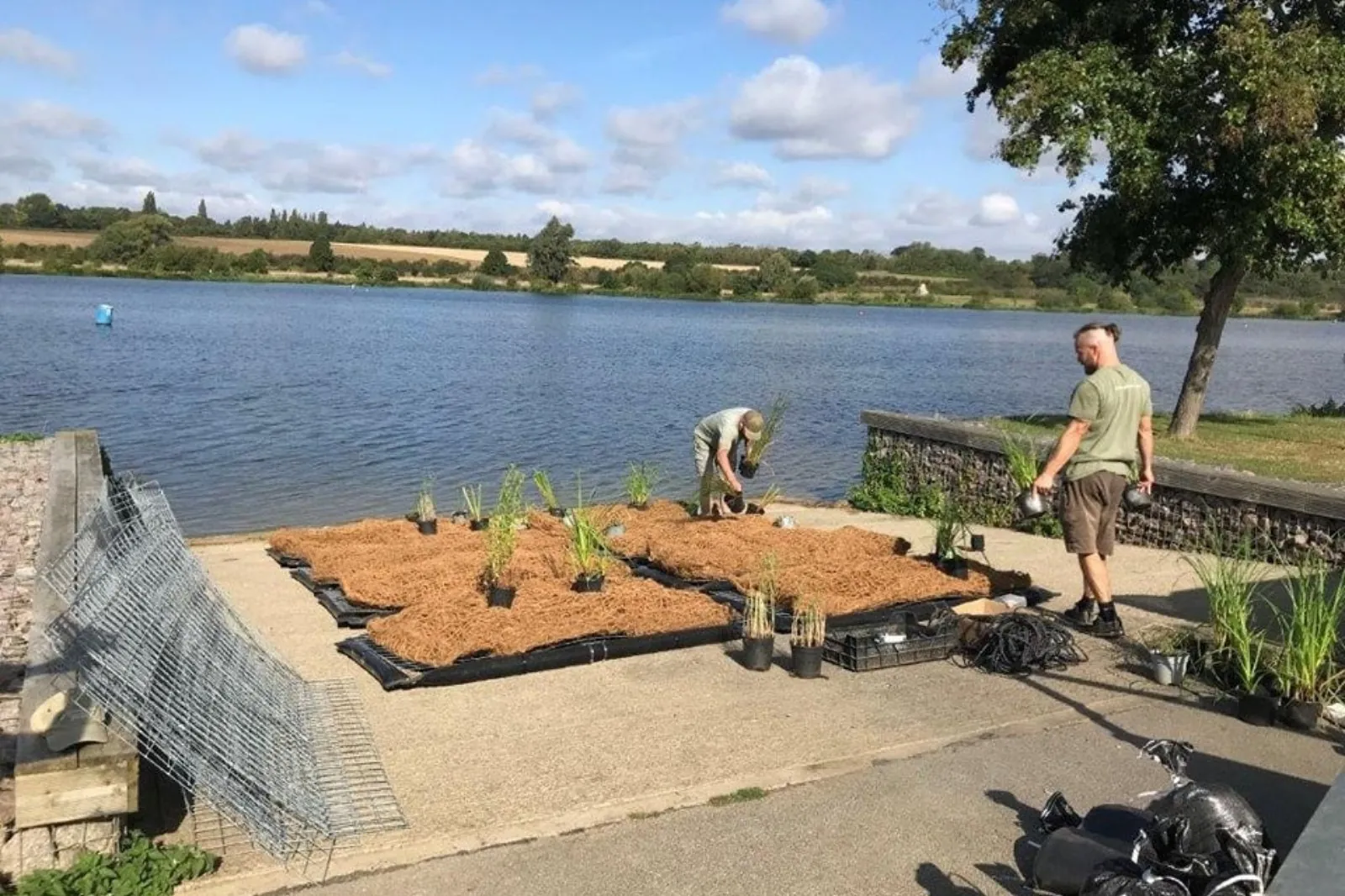 Two anglers laying coir matting and marginal plants along the bank of a still-water fishery.