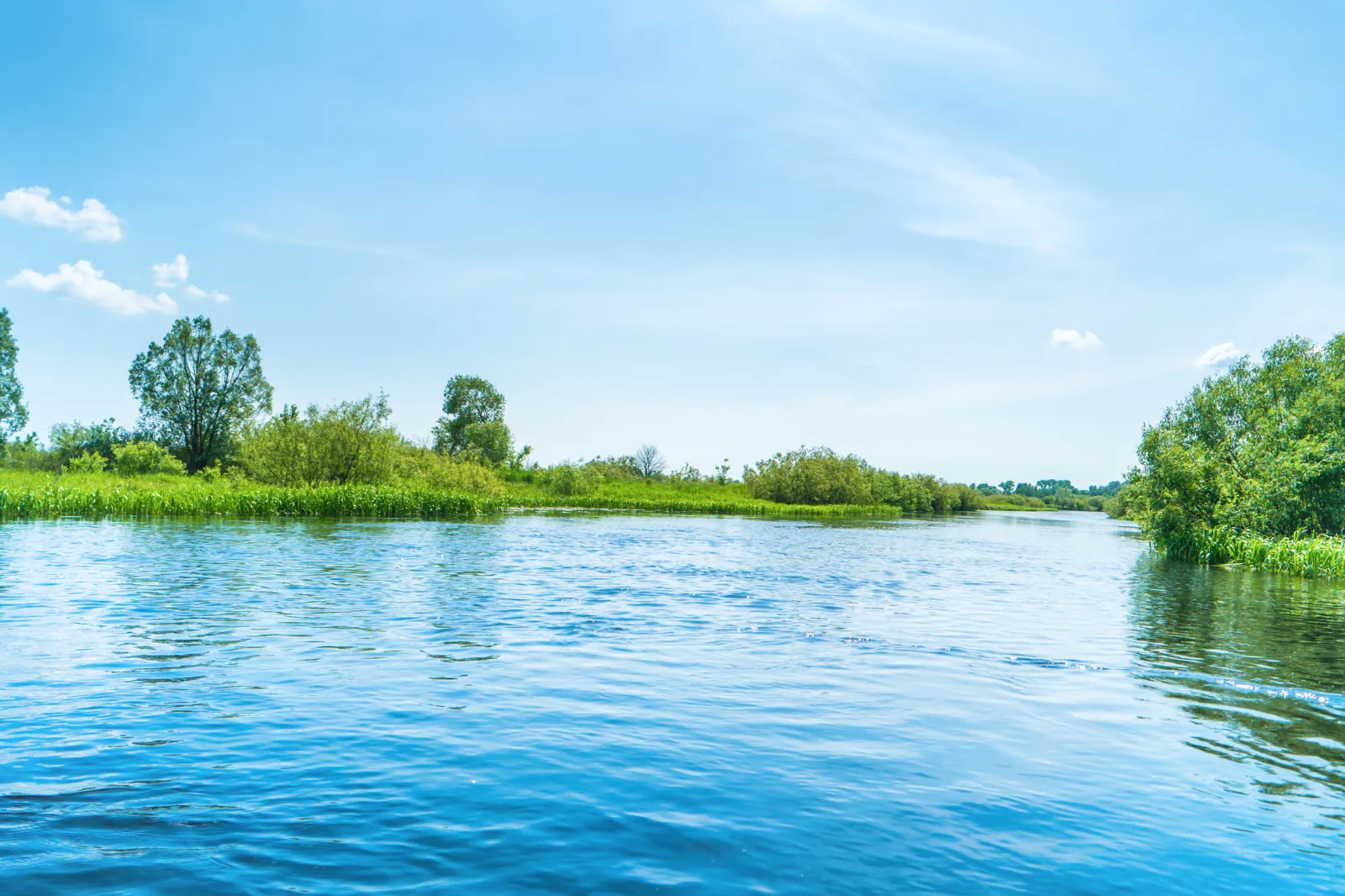 A flowing river with open channel and current, the moving water where migratory fish run.