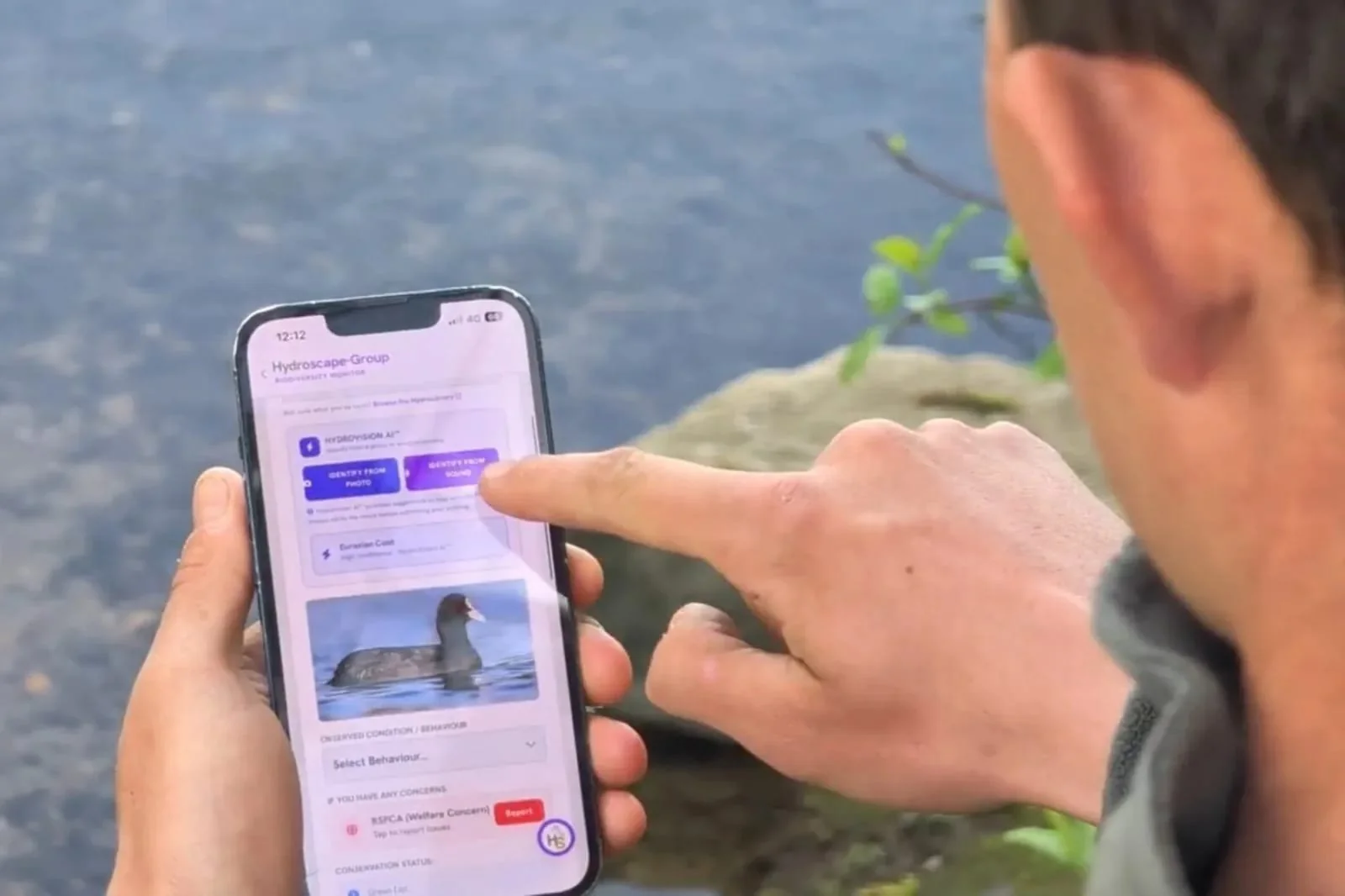 An angler at the water's edge tapping a species identification button on the Hydroscape app, a Eurasian Coot card showing on screen. The phone as the battlefield where anglers either help themselves or harm themselves.